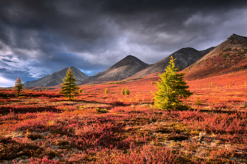 Three sisters ... / ***
