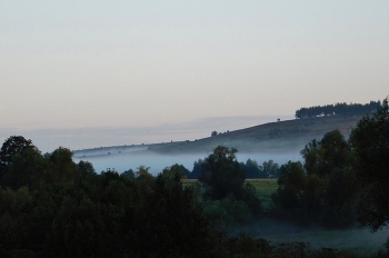 Foggy morning / ***