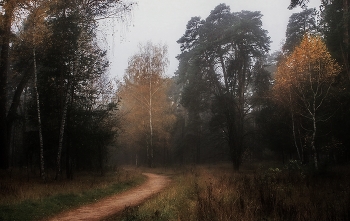 Early October / ***