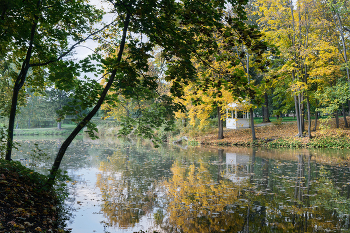 Sunrise over the river / ***
