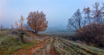 Warm October / ***