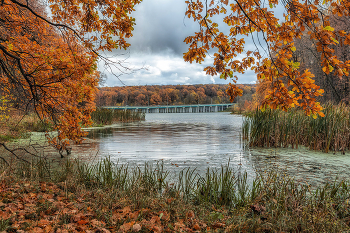 Autumn colors. / ***