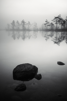 Silence / ***