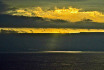 At dawn / ***