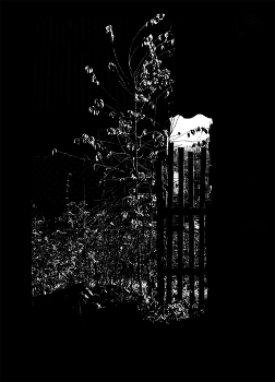 Life around / ***