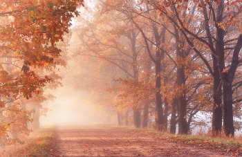 Road To Autumn / ***