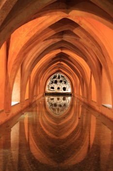 Geometry / ***