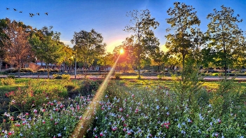 Reus - Passeig Boca de la Mina (jardí botànic) - Baix Camp / Reus - Passeig Boca de la Mina (jardí botànic) - Baix Camp