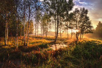 Sunrise over the river / ***