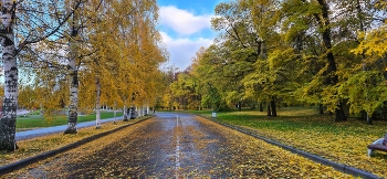 Walking in Autumn / ***