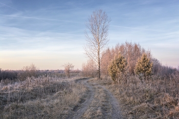 Sunrise over the river / ***