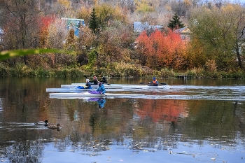 About autumn ... / ***