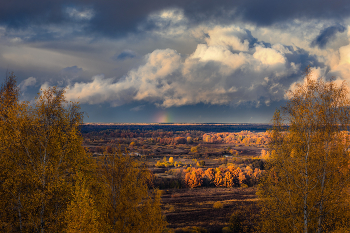 In the last rays / ***