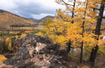 Autumn / ***