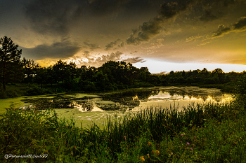 Dusk / ***