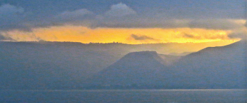 Sunrise in the forest / ***