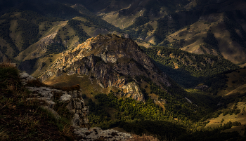 In the mountains of the Caucasus / ***
