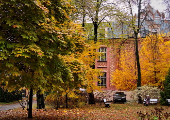 Moscow Courtyard / ***