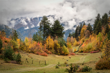 Tsvirmi Autumn 2 / ***