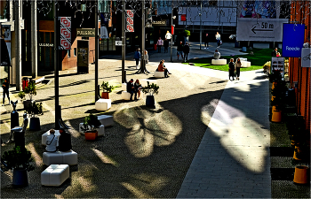 &nbsp; / ......................................