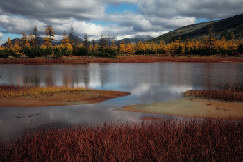 Multicolored autumn / ***