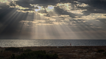 Morning running / ***