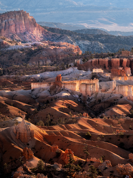 Light Painting / ***