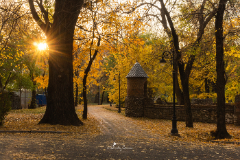 Autumn sketches / ***