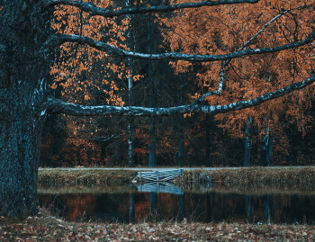 late autumn / No comments.