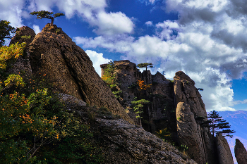 In length ghosts / ***