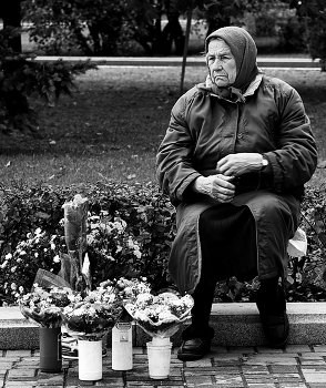 Life after life / ***