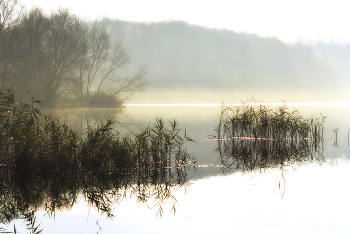 Pride of the morning / ***