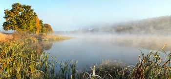 Autumn mists. / ***