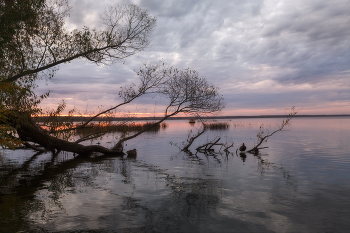 In the golden autumn / ***