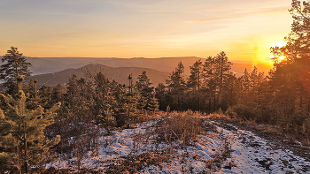 Day&#39;s Journey / ***