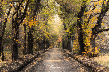 Autumn sketches / ***