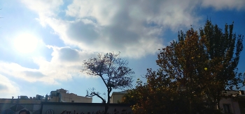 Automn motion / Golden autumn leaves swirling gently in the wind, capturing the motion and warm energy of the season — a perfect blend of color, light, and natural rhythm.