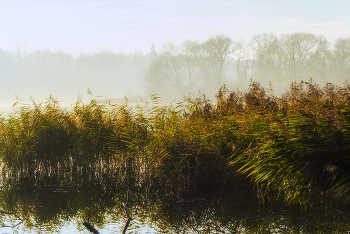 last colors of autumn / ***