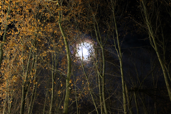 Winter is coming soon / ***