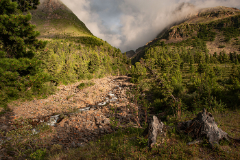 Mountain stream / ***