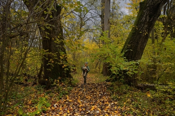 Sunrise over the river / ***