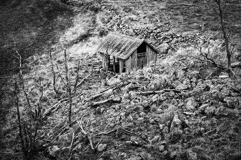 Two loneliness / ***