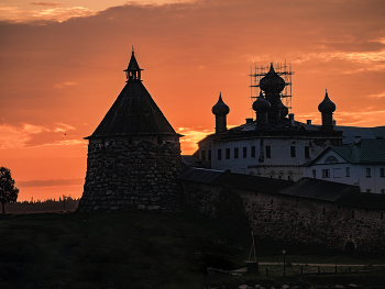 Sunrise in the forest / ***