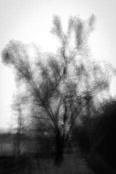 Autumn has come / ***