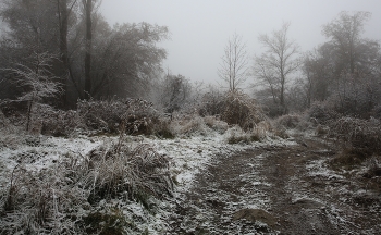 Winter is coming soon / ***