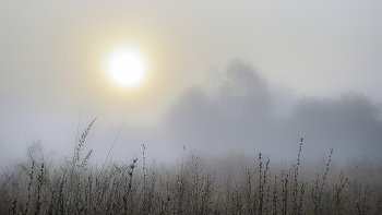 Fog and sun / ***