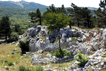 somewhere in the mountains / ***