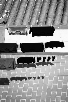 By grazing in the meadow ... / ***