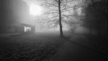 Misty Morning, morning sedoe ... / ***