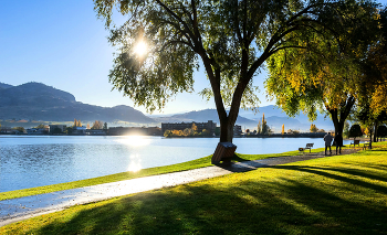 Morning Promenade / ***